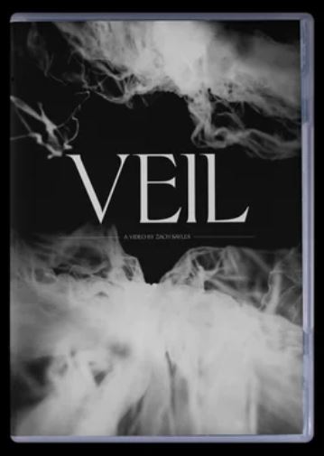Veil feature image